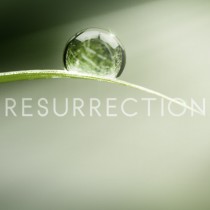 resurrection